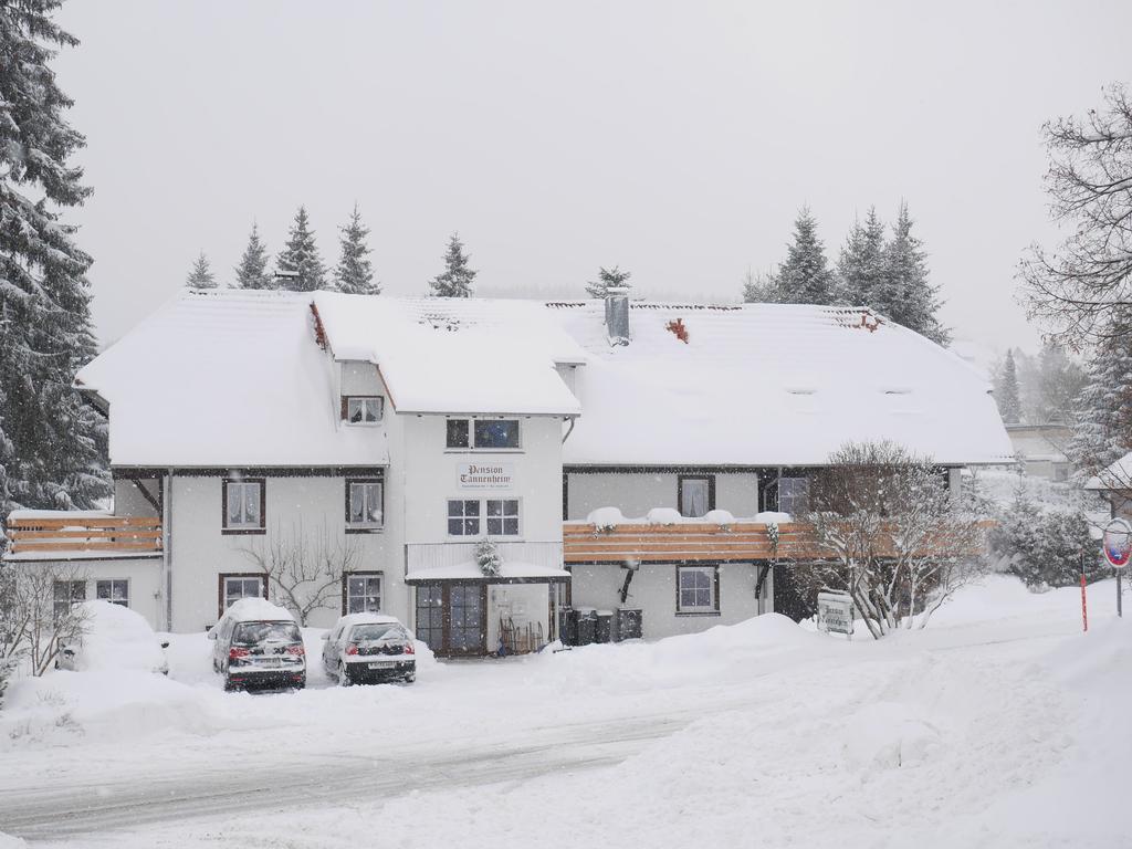 Pension Tannenheim Schluchsee Kültér fotó