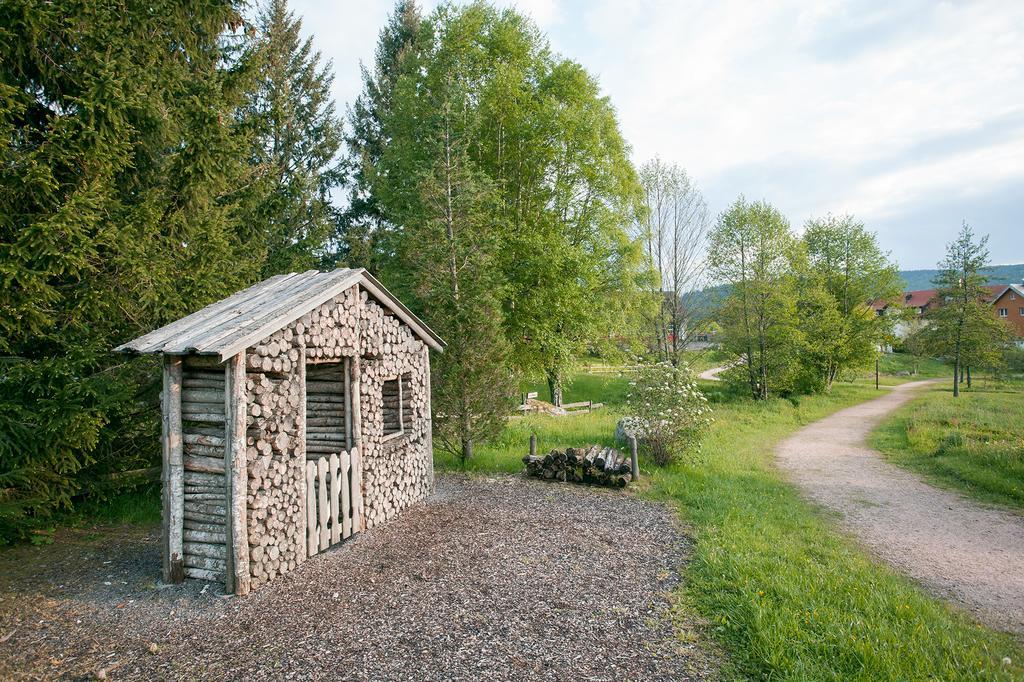 Pension Tannenheim Schluchsee Kültér fotó