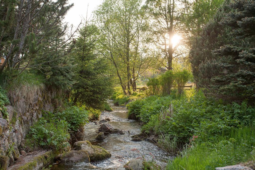 Pension Tannenheim Schluchsee Kültér fotó