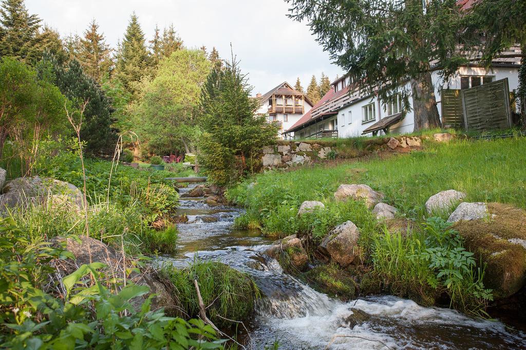 Pension Tannenheim Schluchsee Kültér fotó